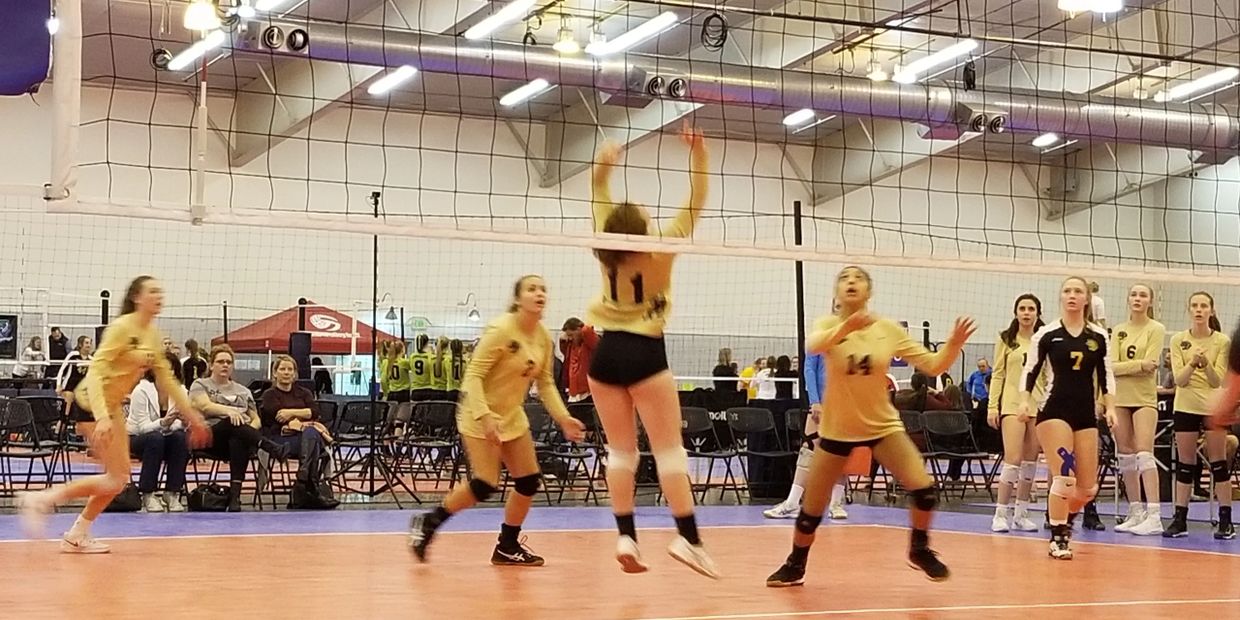 Katherine Mattingly — Head Coach · 14 Black